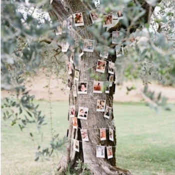 Фотографии Polaroid